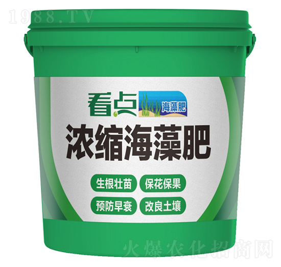 ��s�����-���c