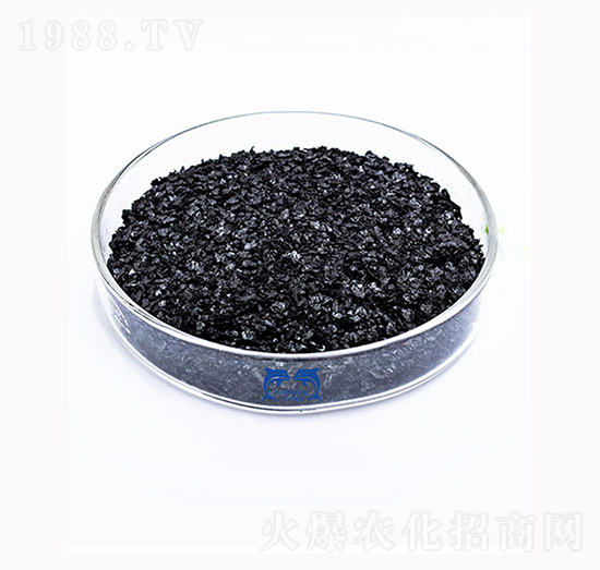 25%Ƭ��徫-���L�`