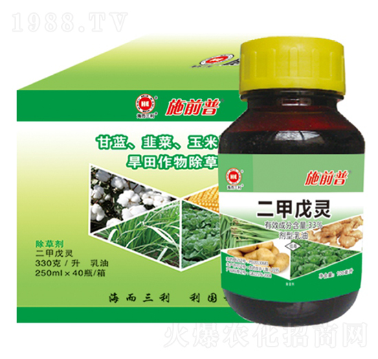 33%�������`-ʩǰ��-��������