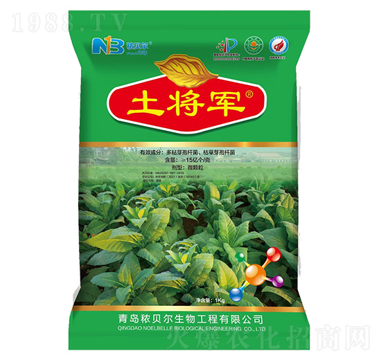 ����܊-��ؐ��