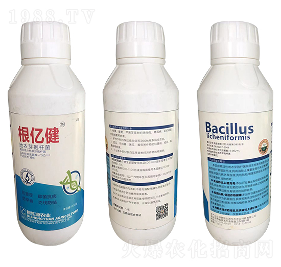 ����ѿ�ߗU��-���|��-�|�r�߿�