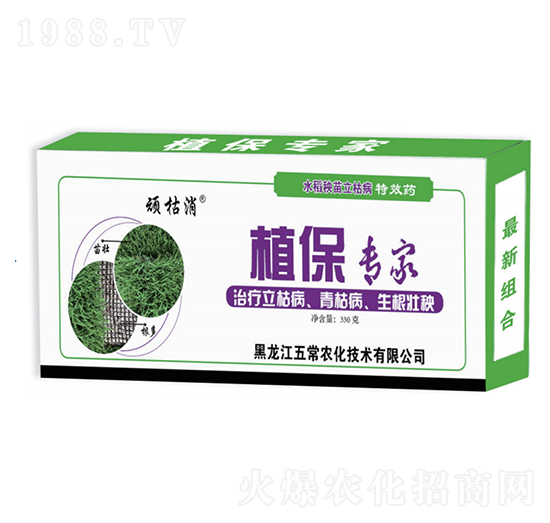 ֲ������-�B����-�峣