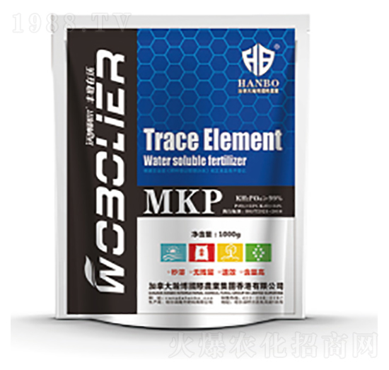 �w���򻯶����-¡������