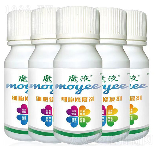 ħҺ�����ޏ̈́�-���a��