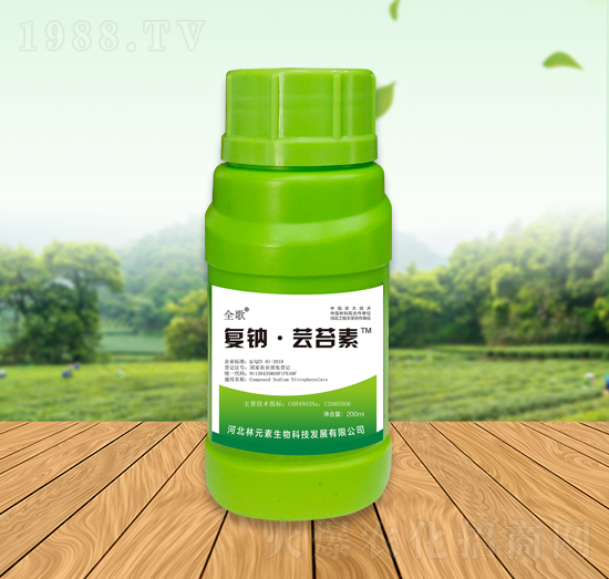 ȫ����c���|̦��-��Ԫ��