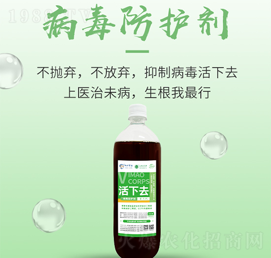 �������o(h��)��-����ȥ-���S����