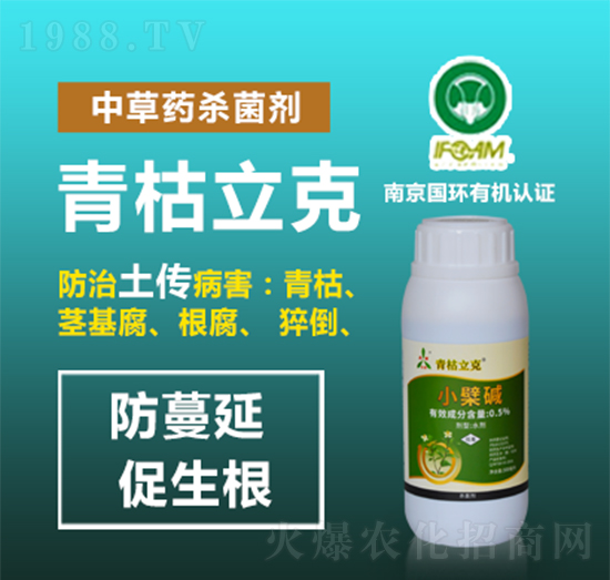 �в�ˎ������-�������-�W�S