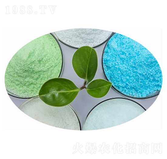 ����⛷���19-19-19+TE-��(��i)��˼�_(d��)