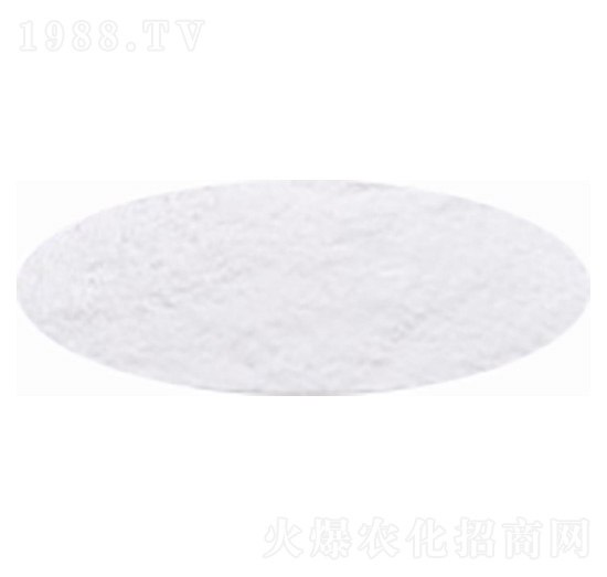 ����⛣����ܼ���-�۸�˼�_