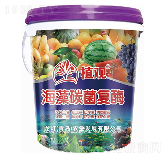 ����̼����(f��)ø-ֲ�^-�����r(n��ng)�I(y��)