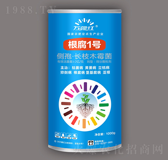 ���������Ŀ���-����1̖-�f���t