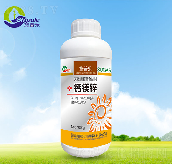 �}�V�F-ʩ�՘�(l��)