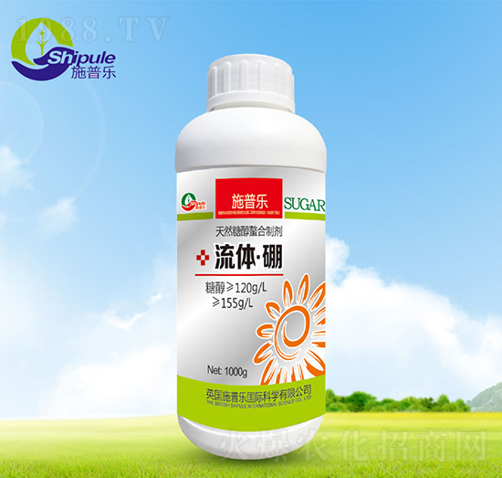 ���w��-ʩ�՘�