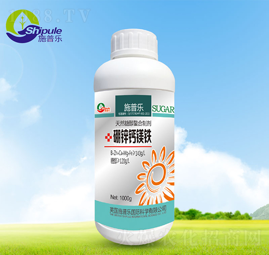 1000g���\�}�V�F-ʩ�՘�