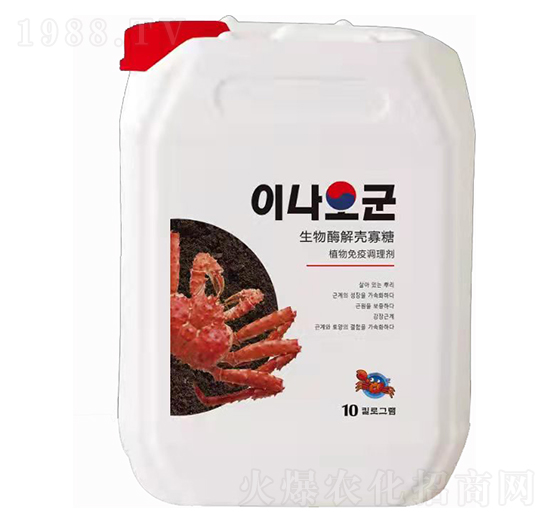 ����ø�⚤����-�Ơ���˹