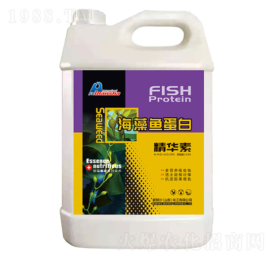 �����~���׾��A��-�W��ɳ