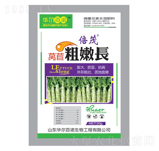 萵苣粗嫩長-華爾百諾