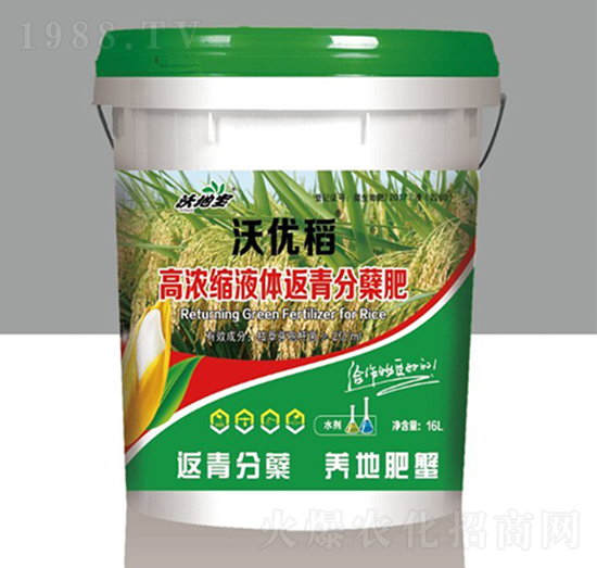 高濃縮液體返青分蘗肥-沃優(yōu)稻-沃地寶