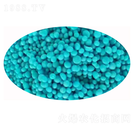 �w����-��ɭ��