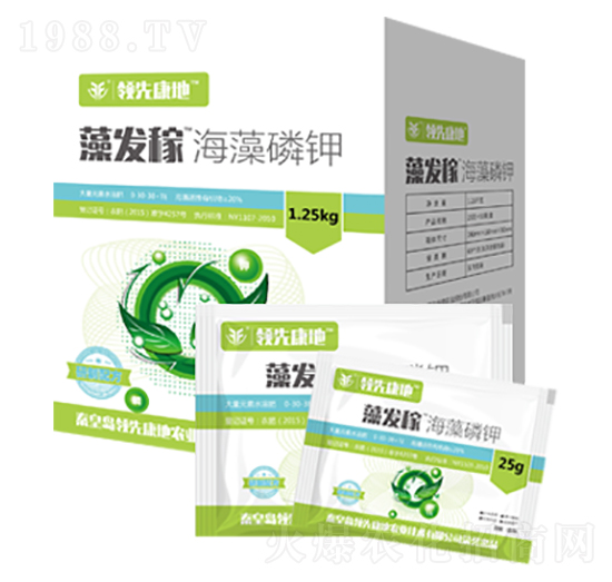 ��l(f��)�ں������-�I(l��ng)�ȿ���