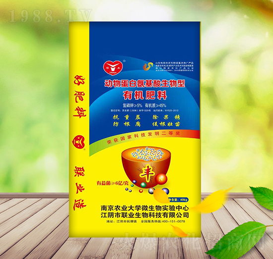 ���ﵰ�װ������������ЙC(j��)��-��������