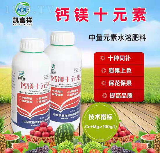 �}�VʮԪ��-�P����