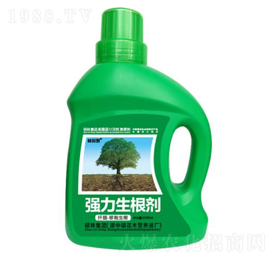 1000mlǤ�塤������������������-�ֱ�ķ-�T�ַ���