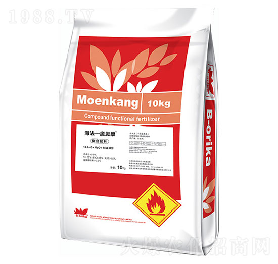 ����͏ͺϷ���-������ħ����-ʥ�ɶ�