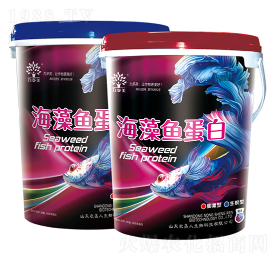 �����~(y��)����-������-�r(n��ng)ʥ��