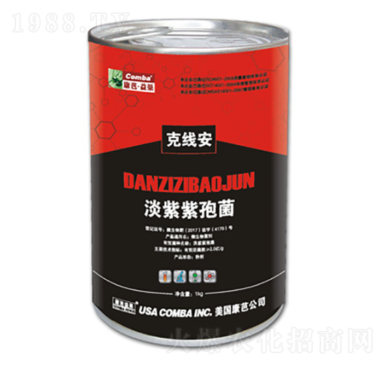 �������߾�-�˾���-��������