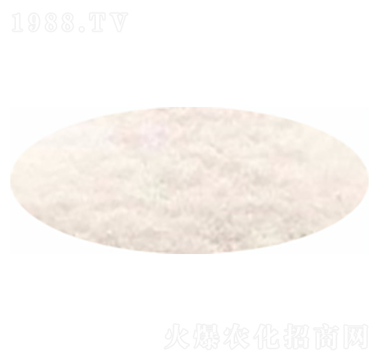 ����һ�@-�����_(d��)