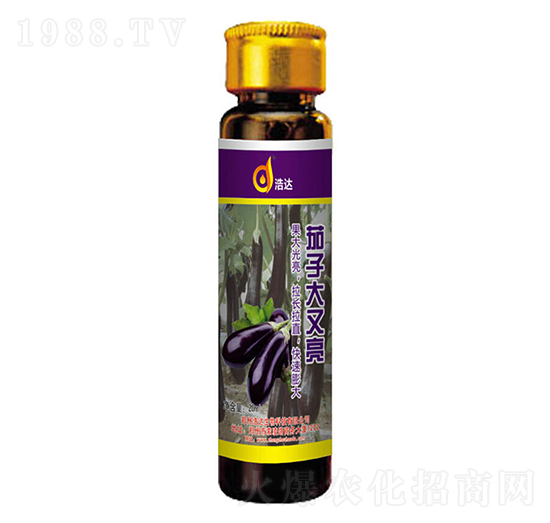 茄子大又亮-浩達生物