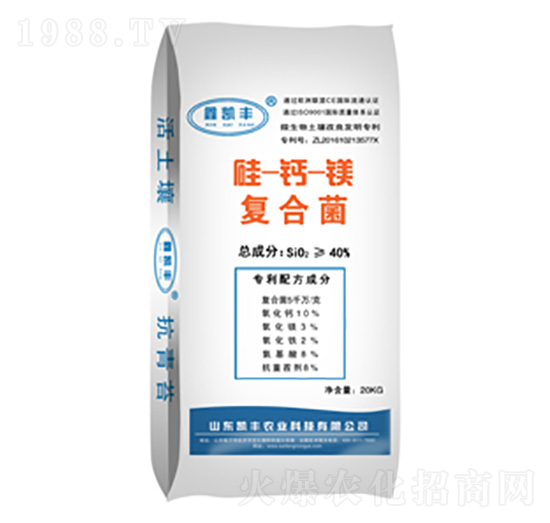 ���}�V�ͺϾ�-�P�S�r(n��ng)�I(y��)