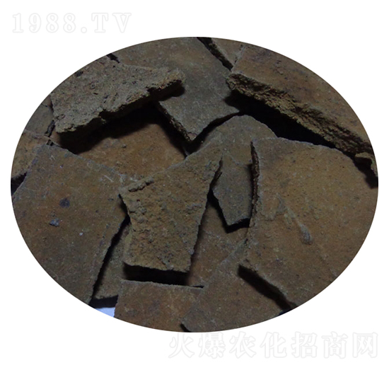 ������֥���-�T������