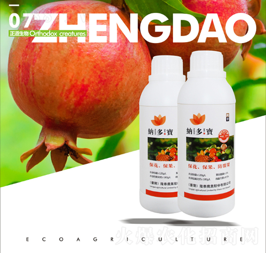 �{����-��������