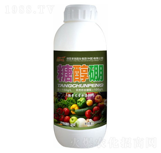 �Ǵ���-�»�