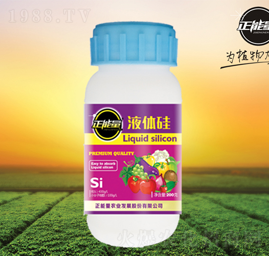 Һ�w��-������