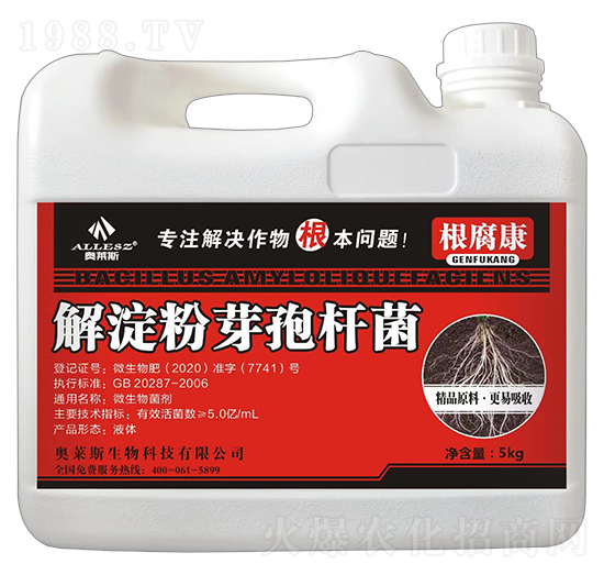 5kg解淀粉芽孢桿菌-根腐康-奧萊斯