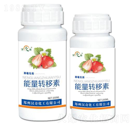 ��ݮ���������D(zhu��n)����-�h�滯��