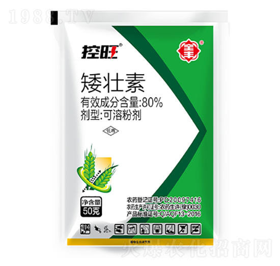 ����������-ȫ�S