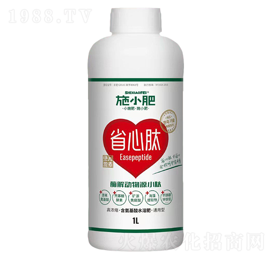 ø�����ԴС��-ʩС��