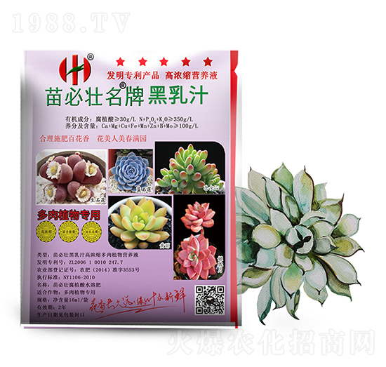 ����֭�ߝ�s����ֲ��I(y��ng)�B(y��ng)Һ-��؉�