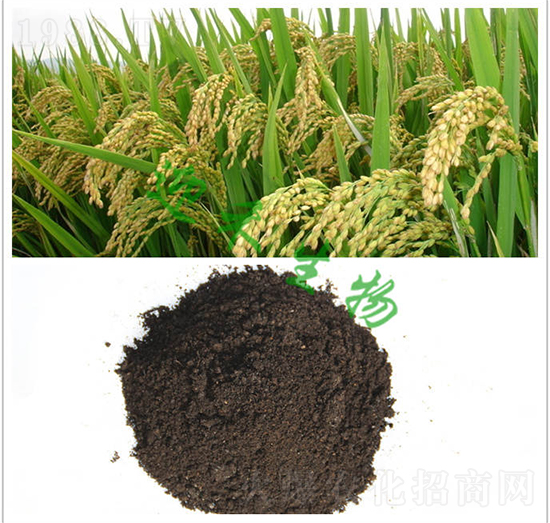 ˮ���ЙC��-ӭ������