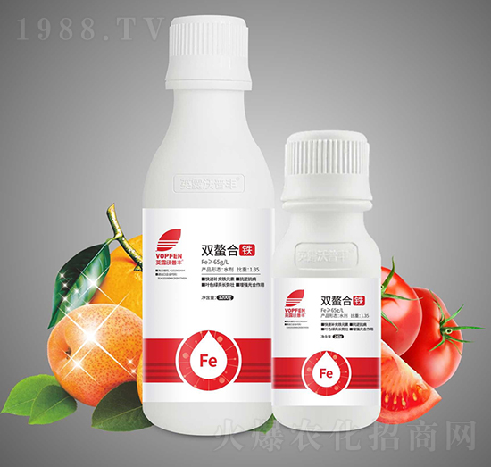 �p�����F-Ӣ¶�����S