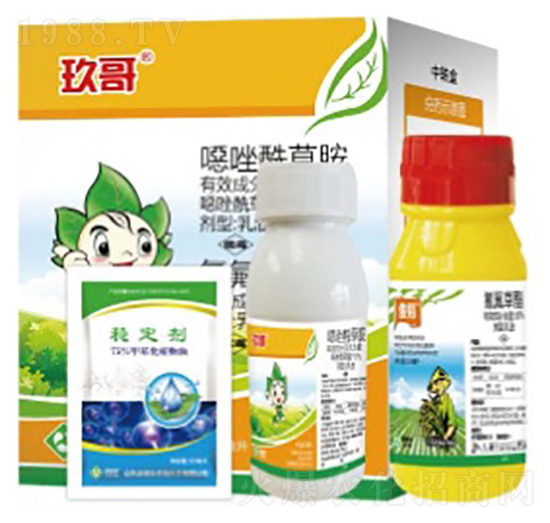 玫哥-湯普樂(lè)