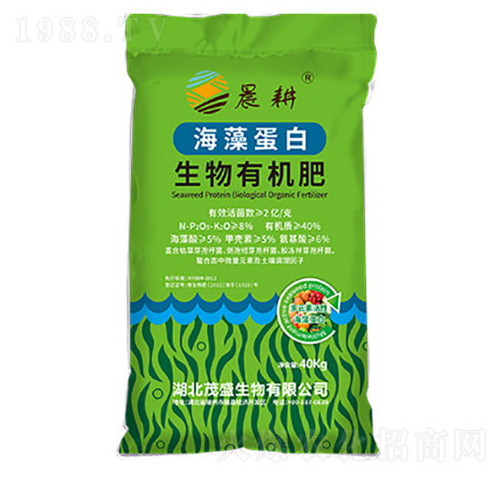 ���嵰�������ЙC��-ïʢ����
