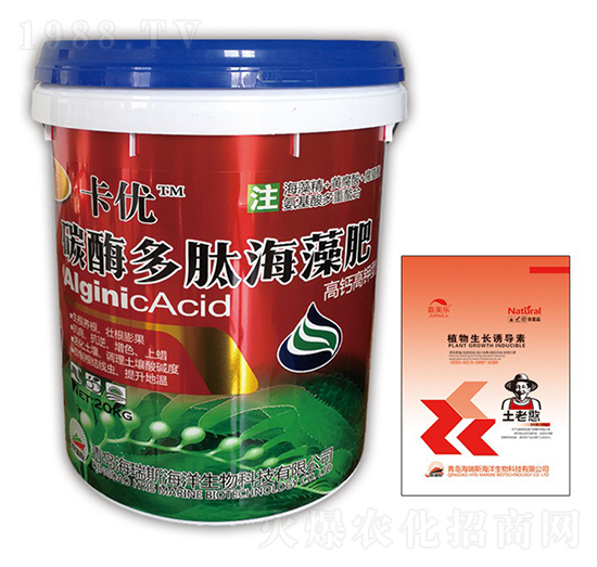 ����(y��u)��̼ø���ĺ����-����(y��u)-������-����˹