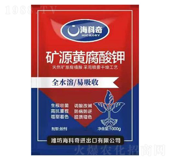 �VԴ�S�����-������