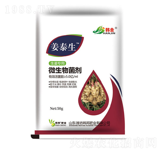 ������(zhu��n)��΢�������-��̩��-�n��-�n��ʘI(y��)