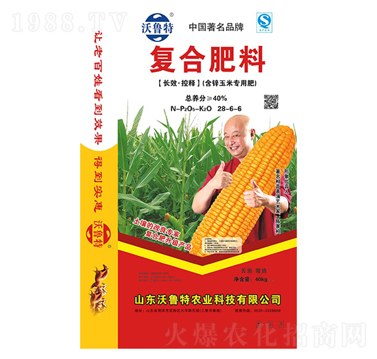 ��(f��)�Ϸ���(���\���׌��÷�)28-6-6-������